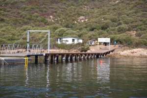 Cala dei Sardi: ¡Un puerto low cost en la Costa Smeralda!